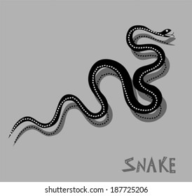 Snake - vector illustration 