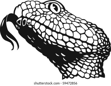 Snake Vector Illustration