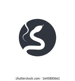 snake vector illustration icon design