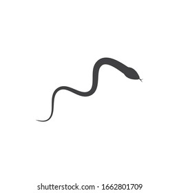 diseño de icono de ilustración de vector de serpiente