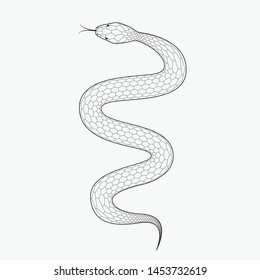Snake, vector illustration isolated on white background. Line design, editable stokes
