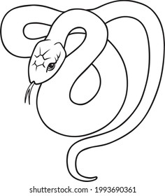  snake vector illustration isolated on white background.Animal top view