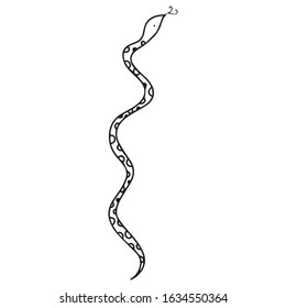 snake vector illustration, object, animal design, icon, graphics, symbol