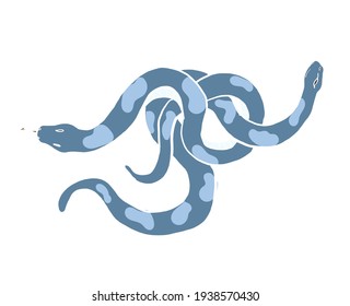Snake vector illustration on background.Poster design snake Reptile for printing and tattoo.Zodiac sign vector such as a gemini.