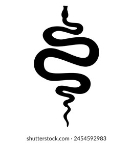 Snake vector illustration. Silhouette of venomous Serpent. Engraving of occult Viper painted by black inks. Etched drawing of python. Art of cobra poisonous animal or anaconda. Etched drawing.