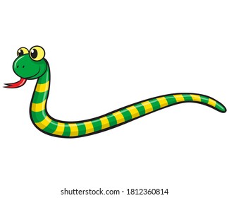 snake vector illustration,isolated on white background,top view