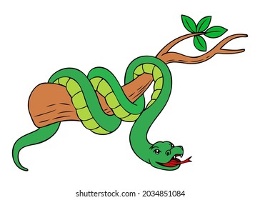 snake vector illustration isolated white background top view