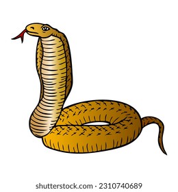 ilustración vectorial de serpiente, aislada en fondo blanco, vista superior