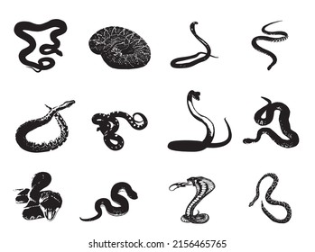 snake vector logo.Black silhouette snake.Black silhouette snake