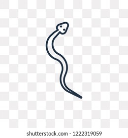 Snake vector outline icon isolated on transparent background, high quality linear Snake transparency concept can be used web and mobile