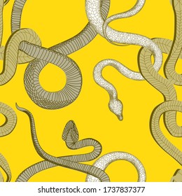 Snake vector pattern. kite on a bright yellow background. Sansevieria. Tropical animals.