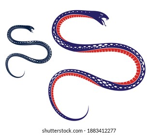 Snake vector tattoo, deadly poison dangerous serpent, venom aggressive predator reptile animal vintage style illustration.
