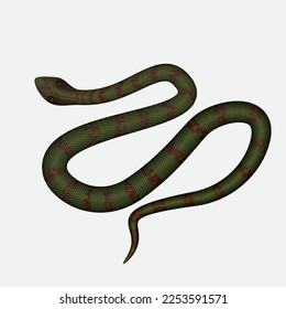 snake vector venomous pit vipers realistic style green snake with maroon patches green poisonous serpent
