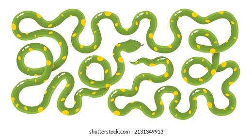 Snake is very long green with yellow spots. Cartoon vector illustration of an animal on a white isolated background.