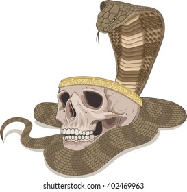 a snake winds around a bowl from a skull