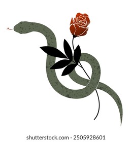 Snake wraps around rose flower. Beautiful graphic illustration