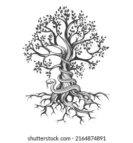 Snake Wraps Around a Tree Esoteric Tattoo Drawn in Engraving Style isolated on white. Vector illustration.