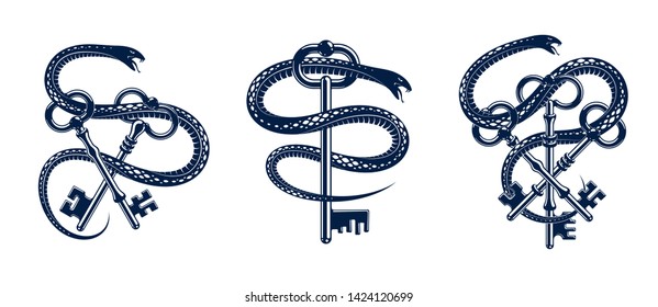 Snake wraps around vintage key, protected secret concept, turnkey and serpent old style tattoo, vector symbol logo or emblem.