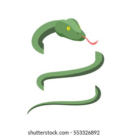 Snake wraps isolated. Cobra on white background. Green Reptile