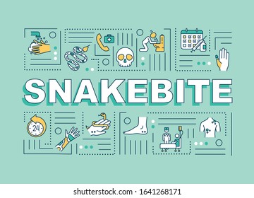 Snakebite first aid and medication, injury allergic reaction symptom word concepts banner. Infographics with linear icons on blue background. Isolated typography. Vector outline RGB color illustration