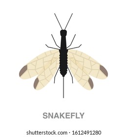 Snakefly Images, Stock Photos & Vectors | Shutterstock