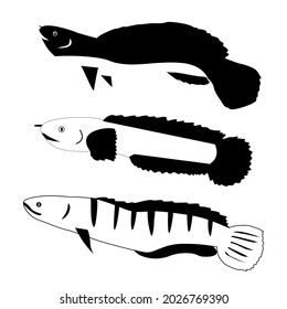 Snakehead fish icons illustration. predator fish. editable file and easy to change color
