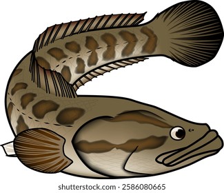 'Snakehead' fish illustration. Vector EPS format