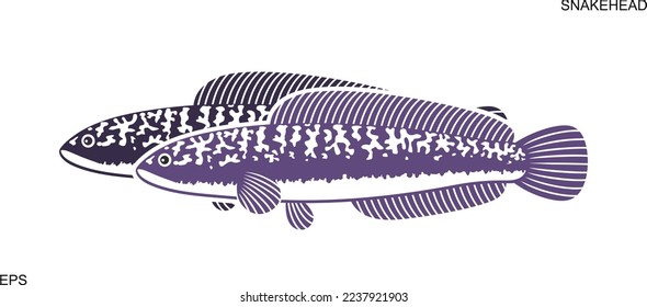 Snakehead logo. Isolated snakehead on white background