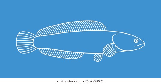 Snakehead outline. Isolated snakehead on white background