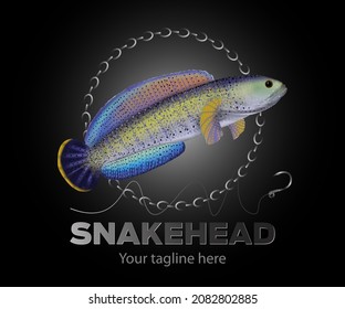 Snakehead Predator Fish Illustration Or Channa (Channidae), A Beautiful Colorful Fish On A Dark Background