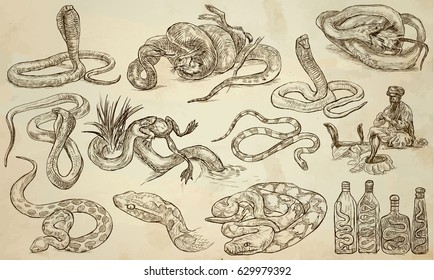 SNAKES around the World.Collection of an hand drawn vector illustrations. Freehand sketches. Line art. Each drawing comprise of a few layers of outlines. Colored background is isolated. Easy editable.