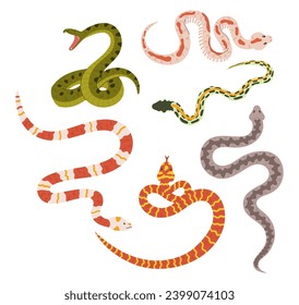 Snakes Collection, Featuring A Diverse Array Of Colors And Patterns. From Vibrant Scales To Intricate Designs, These Serpents Captivate With Their Beauty And Mystique. Cartoon Vector Illustration