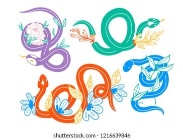 Snakes and flowers. Hand drawn colored vector set. All elements are isolated