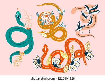 Snakes and flowers. Hand drawn colored vector set. Pink background. All elements are isolated