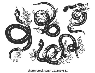 Snakes and flowers. Hand drawn vector set. All elements are isolated