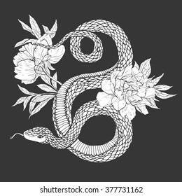 Snakes and flowers. Tattoo art, coloring books. Hand drawn vintage vector illustration Isolated on white background.