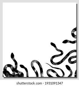 SNAKES. FRAME made of snakes. Vector illustration. Tropical poisonous animals. Poster or banner template.