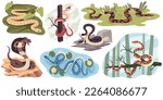 Snakes habitat. Different natural conditions, crawling scaly animals on branches, in water, in desert, suitable atmosphere, tropical wildlife, cobra and python, tidy vector cartoon flat set