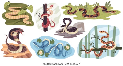 Snakes habitat. Different natural conditions, crawling scaly animals on branches, in water, in desert, suitable atmosphere, tropical wildlife, cobra and python, tidy vector cartoon flat set