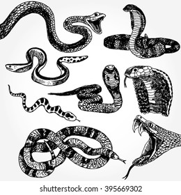 40,321 Hand drawn snake Images, Stock Photos & Vectors | Shutterstock