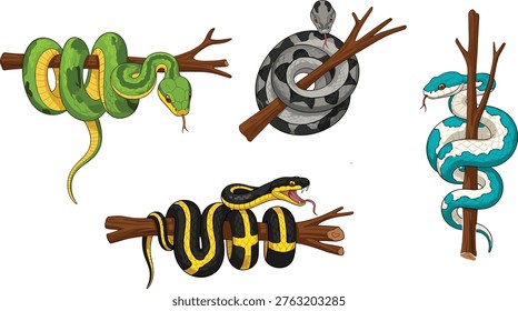 snakes, illustration, cartoon, reptile, python, viper, colorful, coiled, tree, branch, wildlife, animal, nature, exotic, tropical, detailed, design, graphic, digital, art