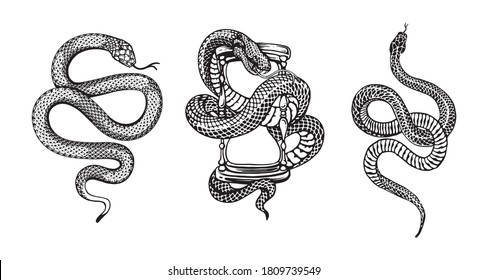 элементы векторного дизайна иллюстрации змеи для дизайнеров