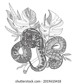 Snakes in the jungle. Royal python snake.  Meditative coloring of antistress. Arrows, strips, scales, lines. Logo, print on the T-shirt. Children's painting, drawing by hand. 