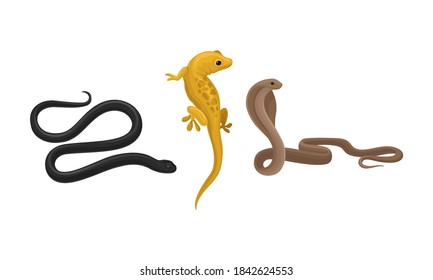 Snakes and Lizard as Carnivorous Reptiles Vector Set