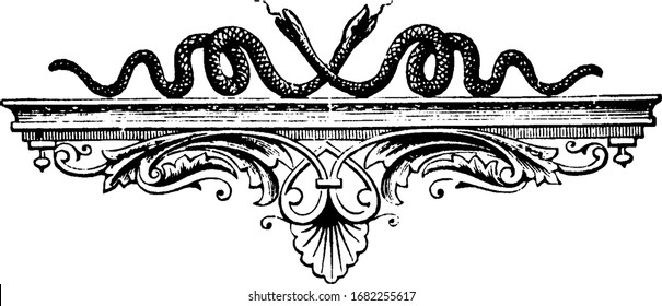 Snakes on shelf have a good arrangements or artwork, vintage line drawing or engraving.