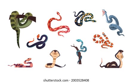 Snakes. Poison reptiles collection. Cartoon wild nature cold-blooded animals set. Anaconda and copperhead hunting in jungle. Attack of cobra or viper. Vector creeping deadly serpents