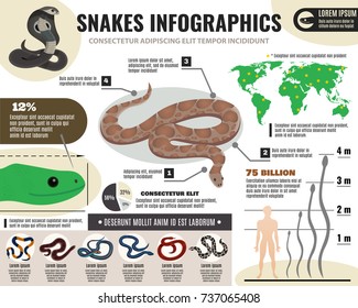 Snakes reptiles infographics with information about royal python and various serpents on light background vector illustration