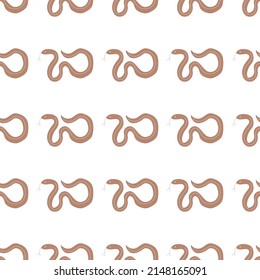 Snakes seamless pattern. Snakes elongated, legless, carnivorous reptiles. Wild West theme. Hand drawn colored trendy Vector illustration. Wildlife concept.