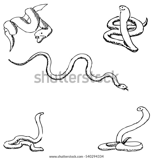 Snakes Sketch By Hand Pencil Drawing Stock Vector (Royalty Free) 540294334