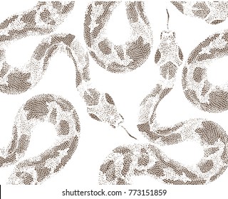 snakes skin pattern on white background